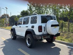Tank 300 New Energy Hi4-T 37.1kWh - ფოტო 7