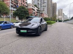 Tesla Model Y Standard Range RWD - ფოტო 1