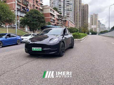 2021 Tesla Model Y Standard Range RWD - ავტომობილი ჩინეთიდან