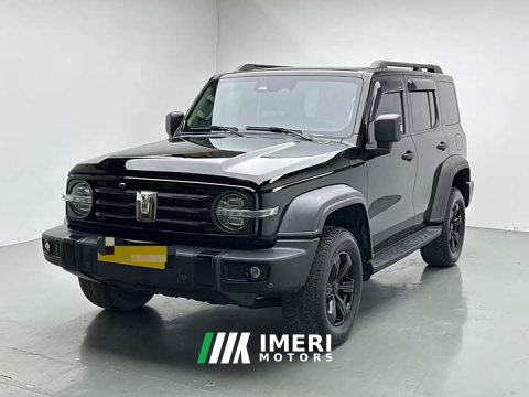 2022 Tank 300 2021 Off-Road Edition 2.0T Conqueror - ავტომობილი ჩინეთიდან