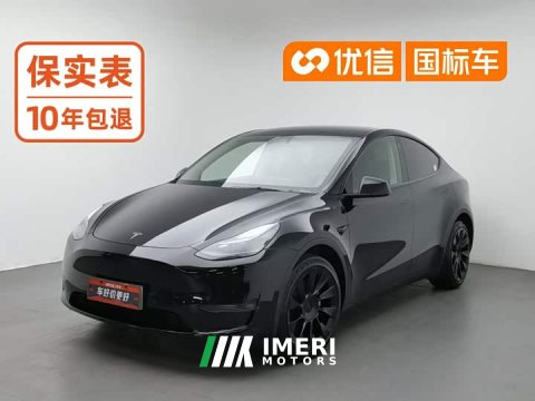 2022 Tesla Model Y 2021 Standard Range RWD - ავტომობილი ჩინეთიდან