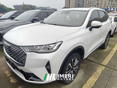 2021 Haval H6 Third Generation 1.5T Automatic Two-Wheel Drive Max - ავტომობილი ჩინეთიდან