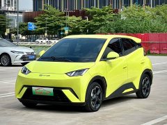 BYD Seagull Glory Edition 405km Flying Edition - ფოტო 1