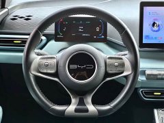 BYD Seagull Glory Edition 405km Flying Edition - ფოტო 13