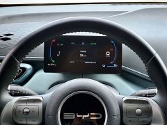 BYD Seagull Glory Edition 405km Flying Edition - ფოტო 14