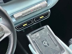 BYD Seagull Glory Edition 405km Flying Edition - ფოტო 15