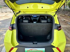 BYD Seagull Glory Edition 405km Flying Edition - ფოტო 19
