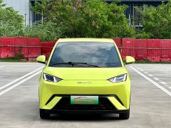 BYD Seagull Glory Edition 405km Flying Edition - ფოტო 2