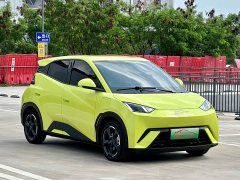BYD Seagull Glory Edition 405km Flying Edition - ფოტო 3
