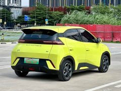 BYD Seagull Glory Edition 405km Flying Edition - ფოტო 4