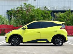 BYD Seagull Glory Edition 405km Flying Edition - ფოტო 7