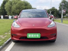 Tesla Model Y Long Range All-Wheel Drive - ფოტო 2