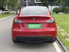 Tesla Model Y Long Range All-Wheel Drive - ფოტო 5