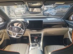 BYD Song Plus New Energy EV Premier - ფოტო 6