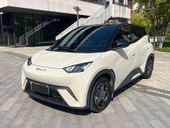 BYD Seagull Freedom Edition - ფოტო 1