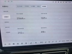 Li Auto L8 Pro - ფოტო 7