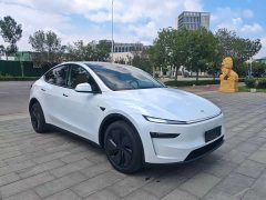 Tesla Model Y Rear-Wheel Drive - ფოტო 3