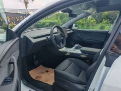Tesla Model Y Rear-Wheel Drive - ფოტო 6