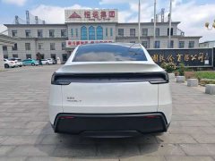 Tesla Model Y Rear-Wheel Drive - ფოტო 8