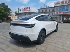 Tesla Model Y Rear-Wheel Drive - ფოტო 9