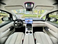 Geely Galaxy V900 Golden Radiance Collector's Edition - ფოტო 7