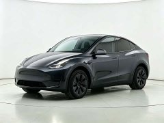 Tesla Model Y Rear-Wheel Drive - ფოტო 1