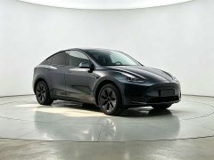 Tesla Model Y Rear-Wheel Drive - ფოტო 3