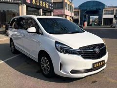 Buick GL8 Land Executive Cabin 652T Luxury - ფოტო 3