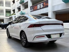 BYD Qin PLUS Glory Edition DM-i 55KM Leading - фото 13