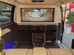 GAC Aion M8 2021 Master Series 390T Four-Seat Royal Edition - ფოტო 9