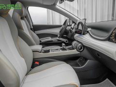 BYD Yuan Plus Glory Edition 510KM Transcend - ფოტო 10