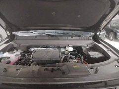 Jetour Jietu Shanhai T1 2025 147km AWD Explorer - ფოტო 16