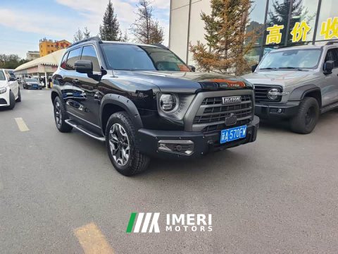 2023 Great Wall Dachshund 2022 2.0T DCT Four-Wheel Drive Howling Celestial Dog Hunting Edition - ავტომობილი ჩინეთიდან