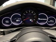 Porsche Panamera Executive Extended Wheelbase 2.9T - ფოტო 11