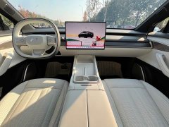 Nio Lerado L60 2024 60kWh Rear-Wheel Drive - ფოტო 8