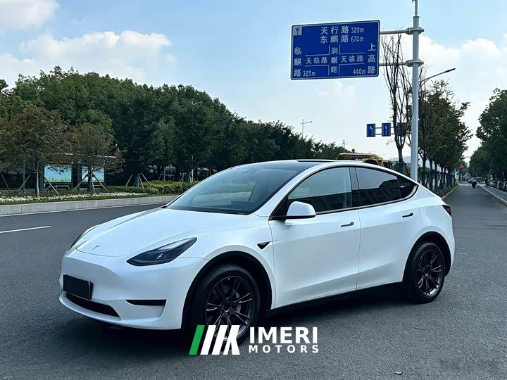 Tesla Model Y Rear-Wheel Drive - ავტომობილი ჩინეთიდან