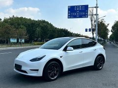 Tesla Model Y Rear-Wheel Drive - ფოტო 1