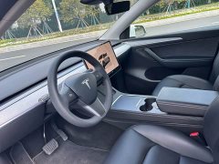 Tesla Model Y Rear-Wheel Drive - ფოტო 5