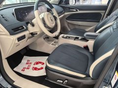 ORA Good Cat 2021 400km Standard Range Venus Edition Ternary Lithium Battery - ფოტო 4