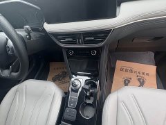 Ford Sharp Boundary EcoBoost 245 RWD Enjoy Edition - ფოტო 8