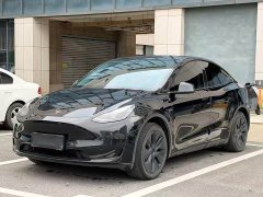 Tesla Model Y 2023 Rear-Wheel Drive - ფოტო 1