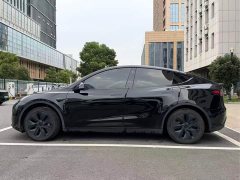Tesla Model Y 2023 Rear-Wheel Drive - ფოტო 3