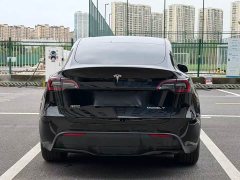 Tesla Model Y 2023 Rear-Wheel Drive - ფოტო 5