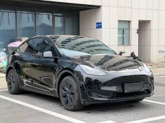Tesla Model Y 2023 Rear-Wheel Drive - ფოტო 8