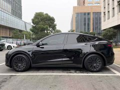 Tesla Model Y Rear-Wheel Drive - ფოტო 3