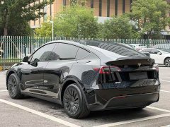 Tesla Model Y Rear-Wheel Drive - ფოტო 4