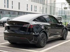 Tesla Model Y Rear-Wheel Drive - ფოტო 6