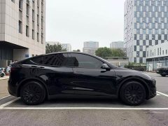 Tesla Model Y Rear-Wheel Drive - ფოტო 7