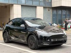 Tesla Model Y Rear-Wheel Drive - ფოტო 8