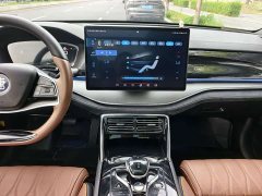 BYD Tang New Energy 2021 DM-i 112KM Premium Edition - ფოტო 10